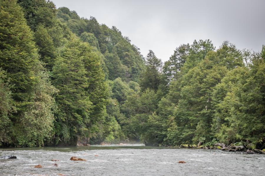 fly fishing in Chile