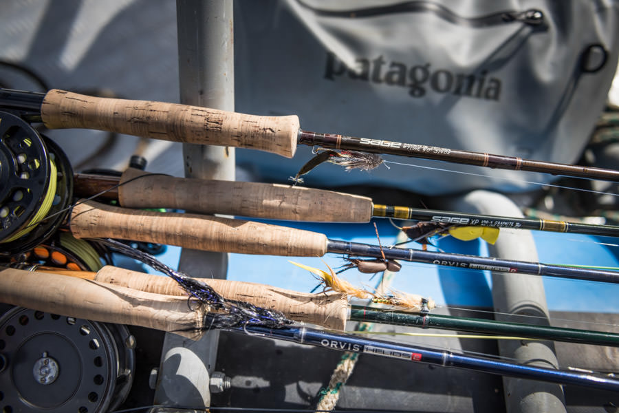 Chile fly fishing trips