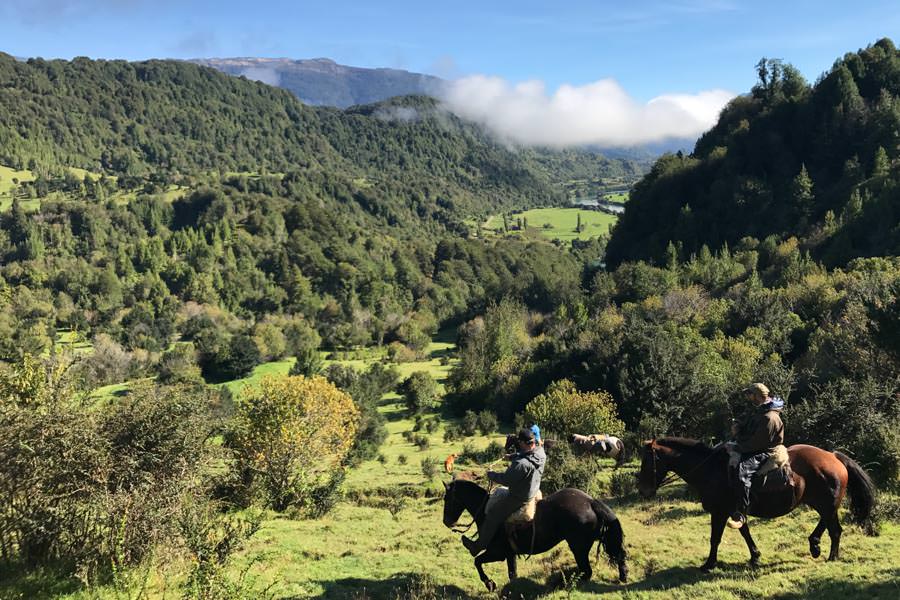 Hosted fly fishing trips