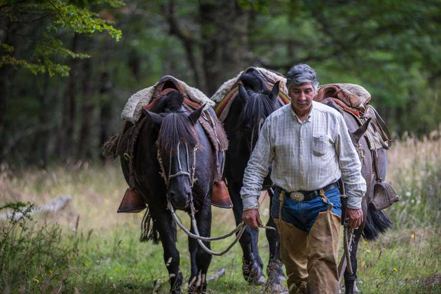 Chilean gaucho
