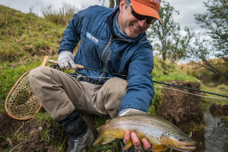nice spring creek brown trout