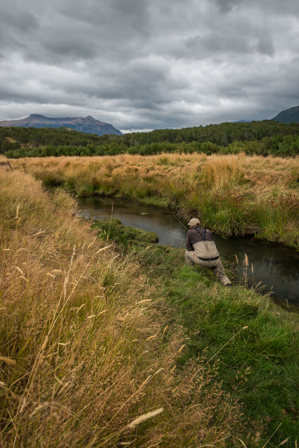 spring creek fishing in Chile