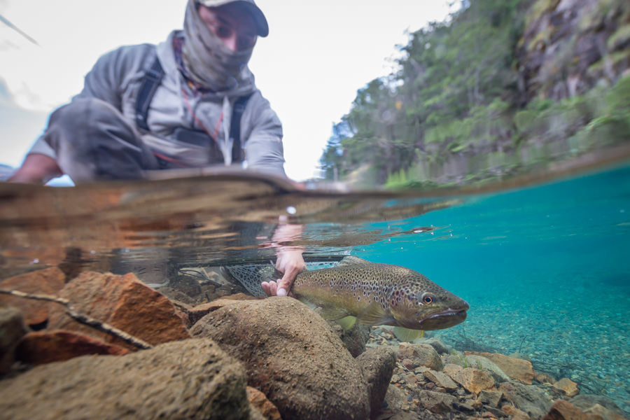 chile catch and release