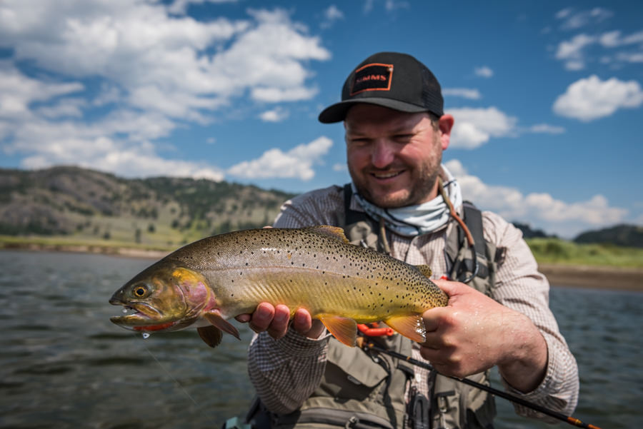 Wild Cutthroat trout Yellowstone fishing lodge