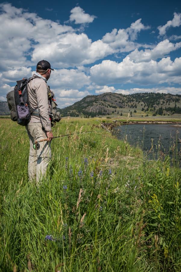 Yellowstone fishing lodge Wild Cutthroat trout
