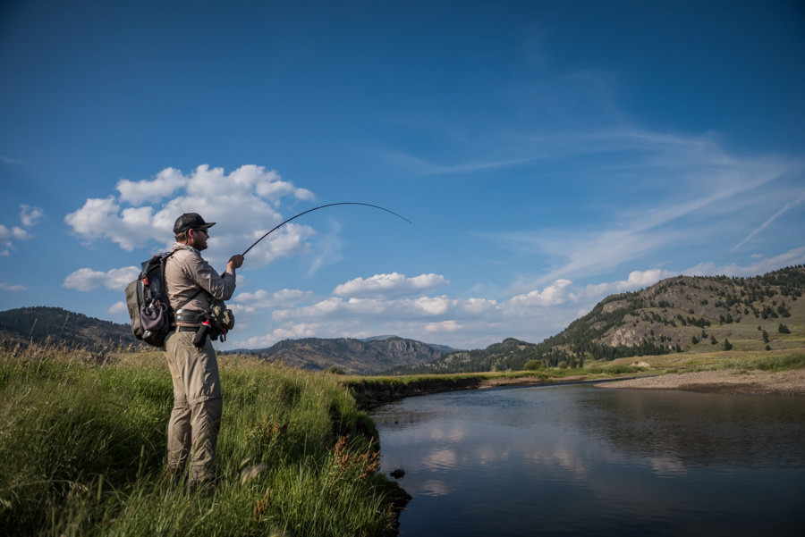 Wild Cutthroat trout Montana fly fishing lodge
