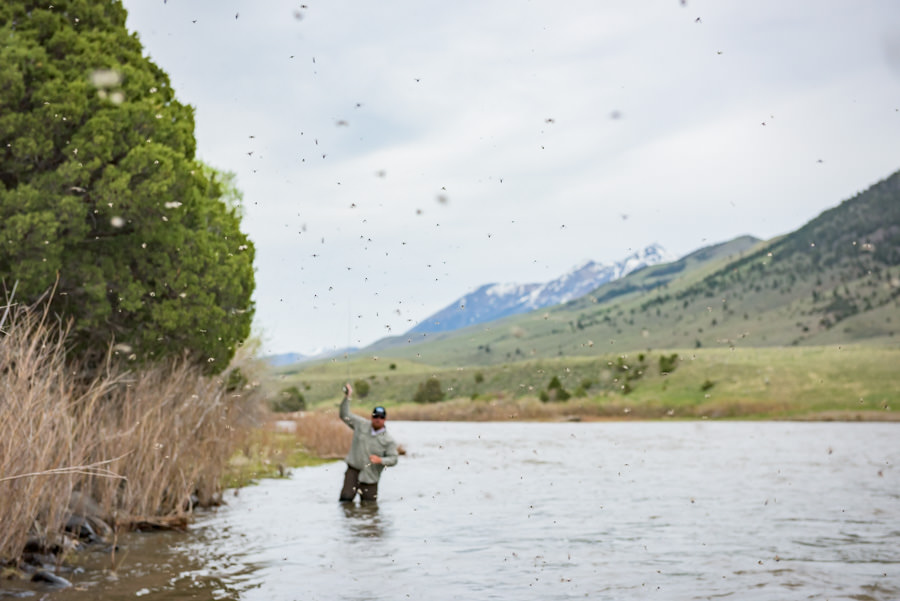 Montana fly fishing guides Luxury fishing lodge