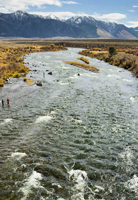 Madison River Fly Fishing, Montana Fishing Guides