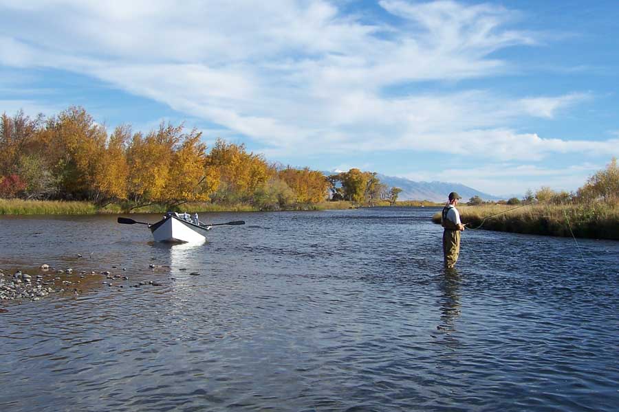 Montana Fishing Guides, Montana Fly Fishing