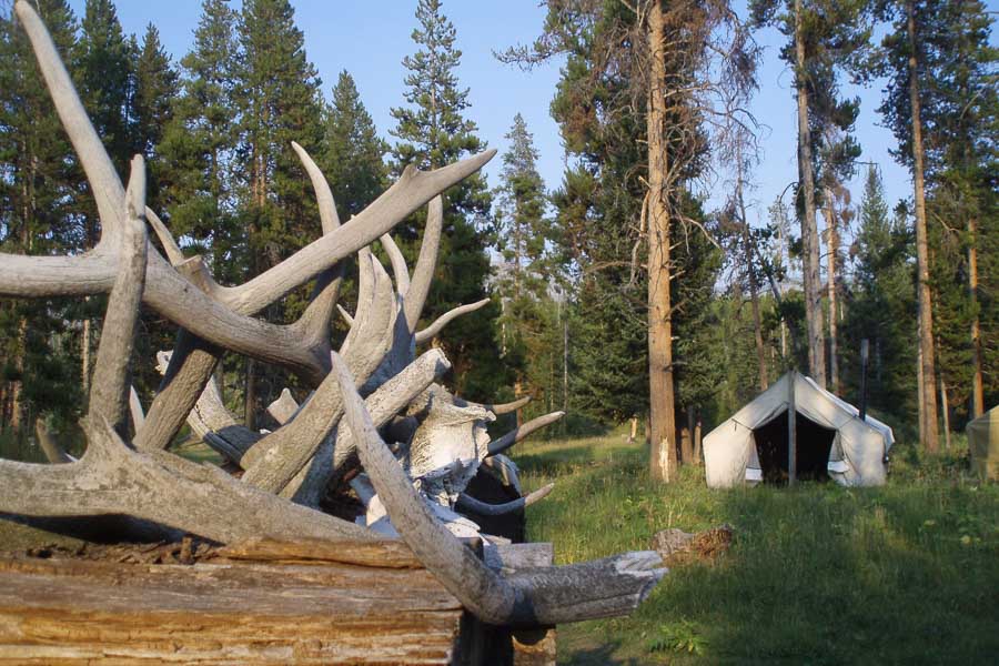 Montana Horse Pack Trips, Montana Angler