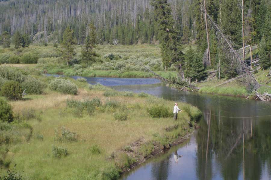 Montana Angler, Montana Fishing Vacations