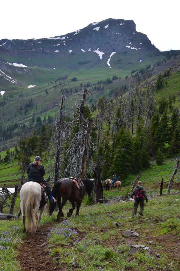 Montana Fly Fishing, Montana Angler