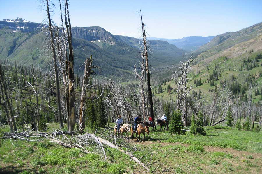 Montana Angler, Montana Fly Fishing