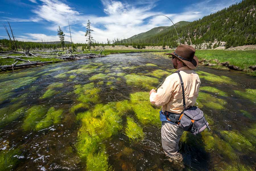 Fly Fishing Yellowstone National Park