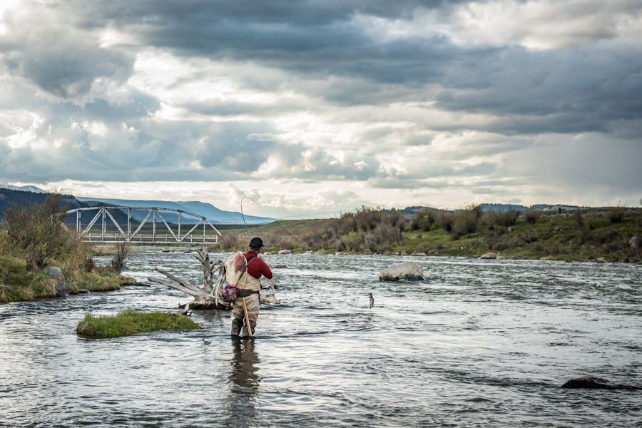 Hooked up on the Upper Madison River