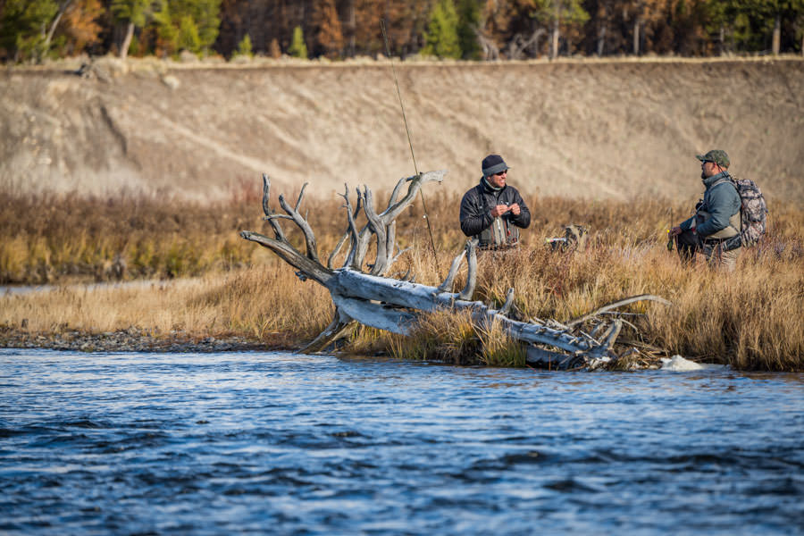 Madison River Guides
