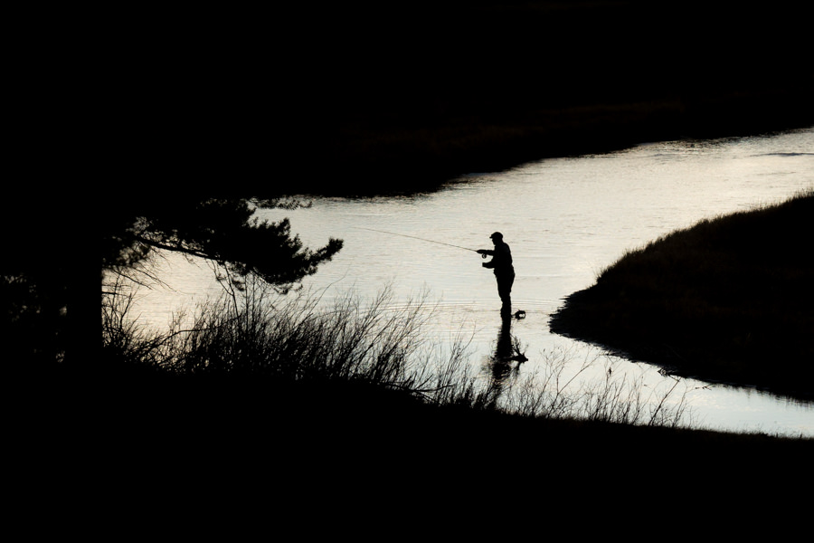 fishing at dusk