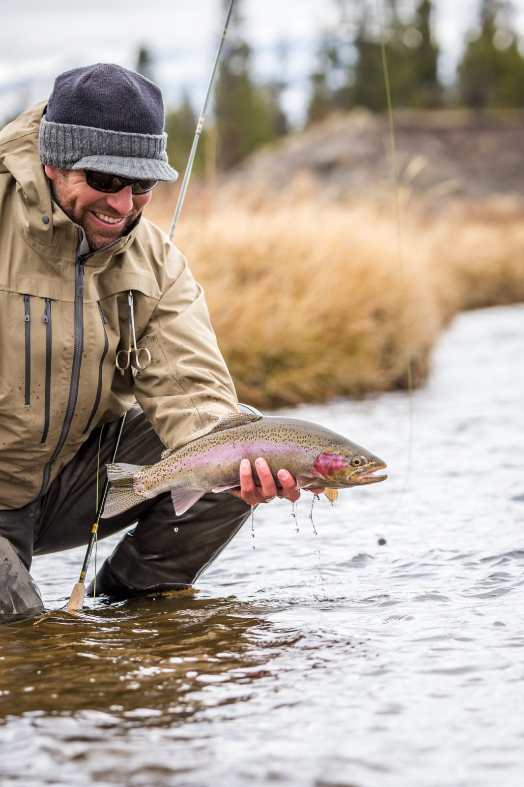 Madison River Rainbow