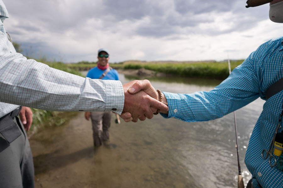 Making fishy friends