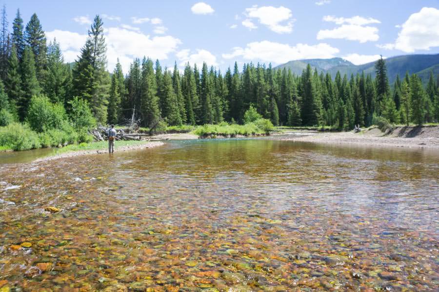 South Fork Flathead