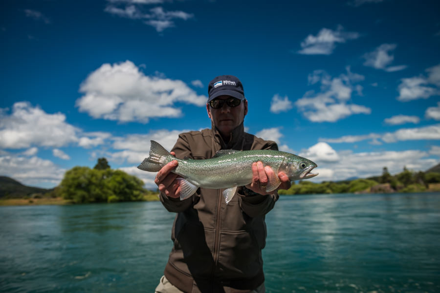 rainbow trout on the Futealufu river Andy landed the first fish of the trip shortly after a arrival. The Futeleufu is a tailwater fishery, this nice rainbow is the average size for the fishery