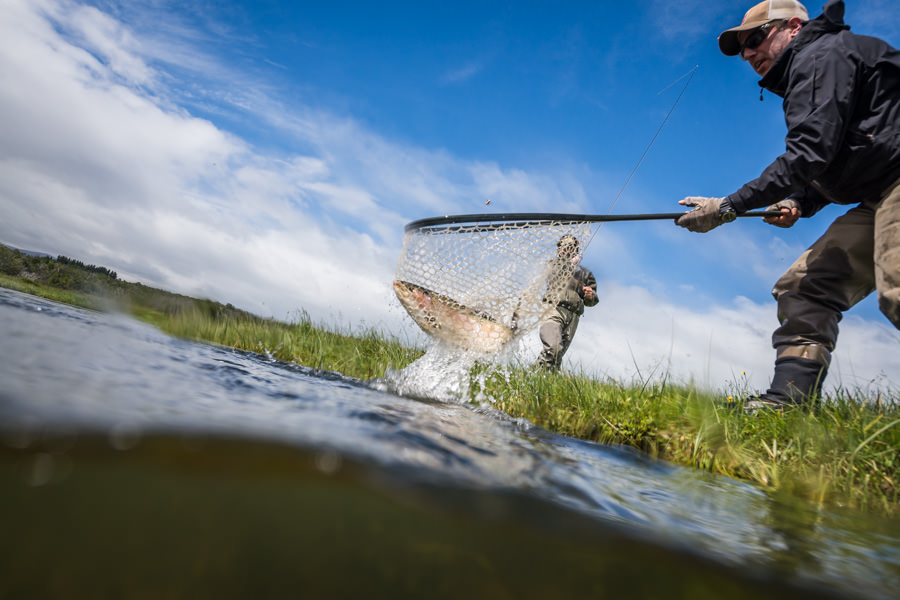 Nant-Y-Fall big rainbow A large lake run rainbow makes it to the net on the Nant-Y-Fall