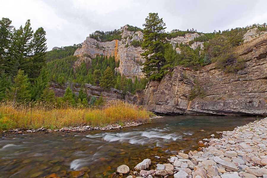 Montana Angler, Montana Fly Fishing Trips