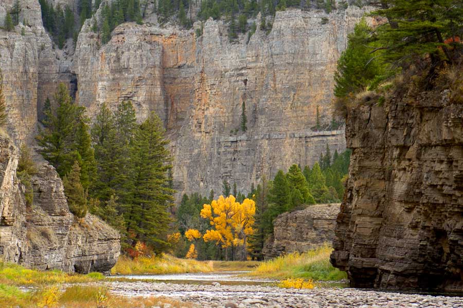 Montana Fishing Vacations, Montana Fly Fishing Trips