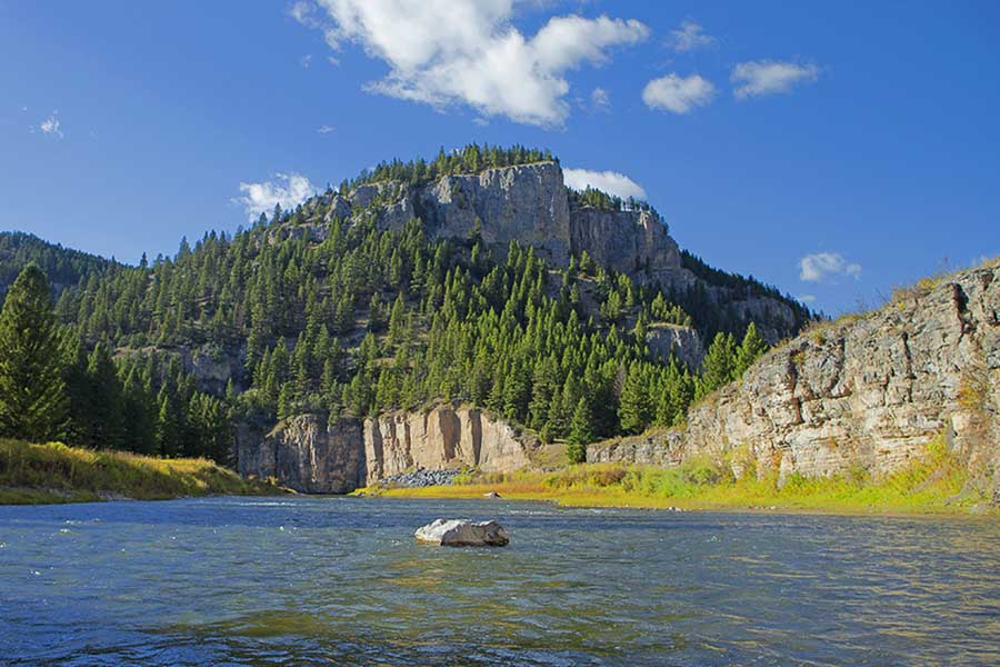 Montana Fly Fishing Trips, Montana Angler