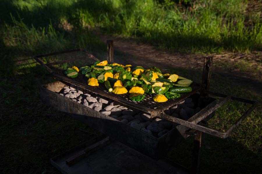 Montana Angler Fly Fishing