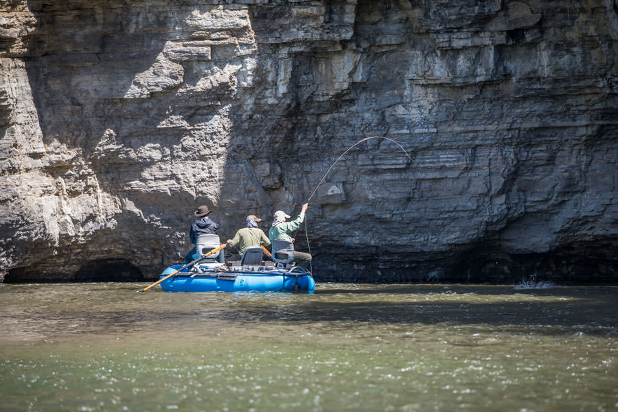 landing a fish on smith river