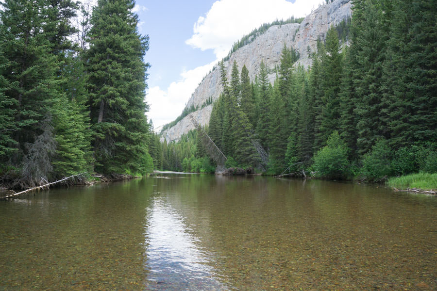 South Fork of the Flathead