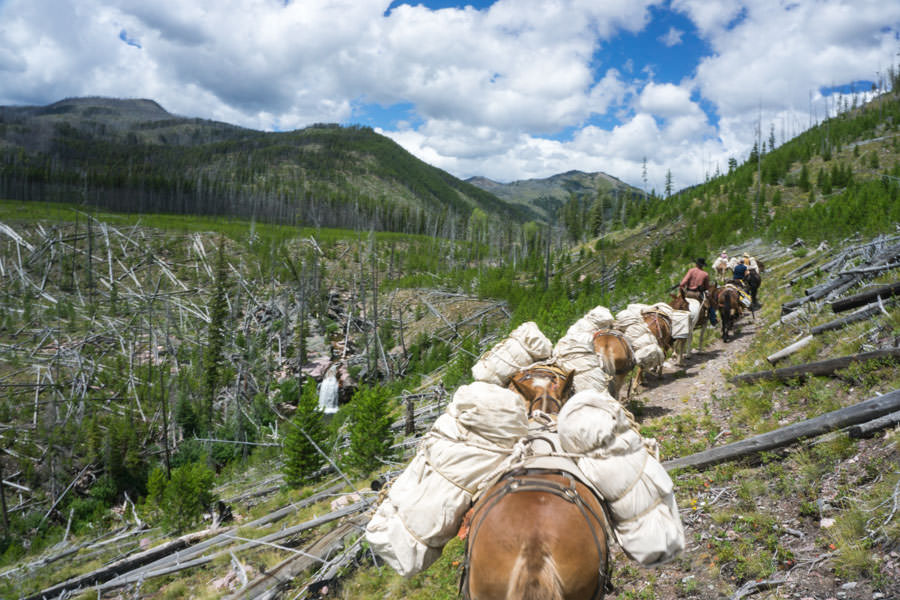 Montana Pack Trip