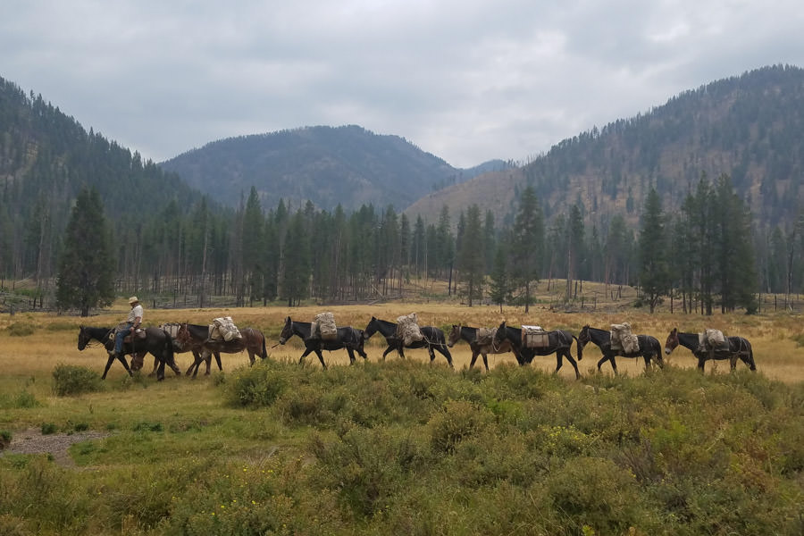 Wilderness fishing trips