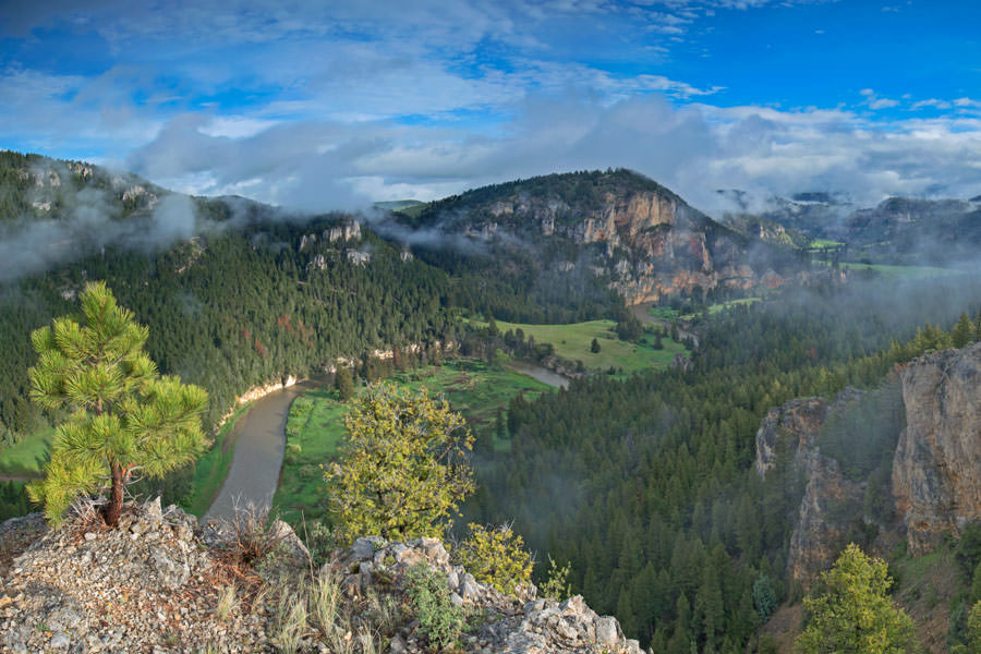 Morning mist on the Smith River Montana