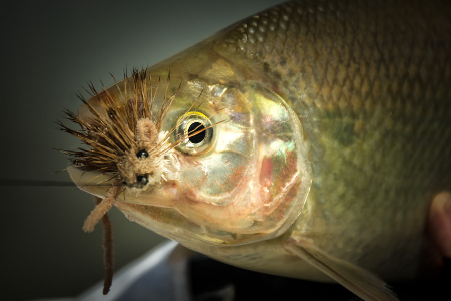 Suinda Lodge Argentina