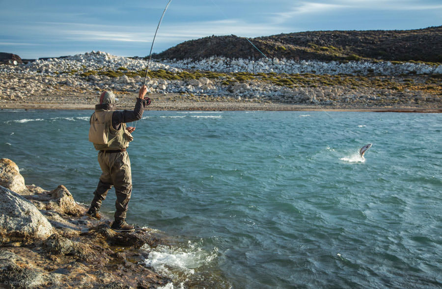 Patagonia fly fishing trips