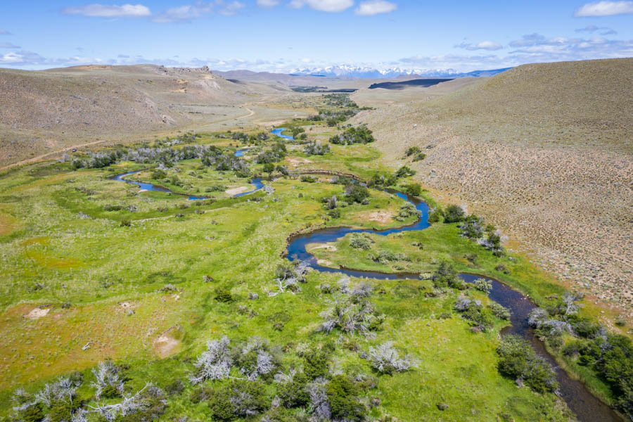 Tecka Spring Creek Argentina Tecka spring creek runs for over 30 miles across the estancia. It's productive waters are filled with 14-20" rainbows and a few monster browns well over 20"