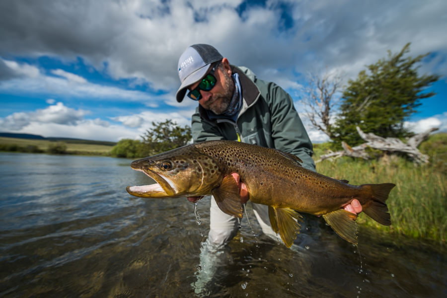 dragon fly brown trout Argentina A large brown that annihilated a dragon fly dry that was skated across the surface
