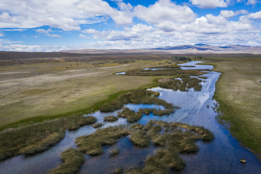 Arroyo Pescado is located in the high grassland pampas east of the Andes. Its productive spring fed waters are infested with large trout