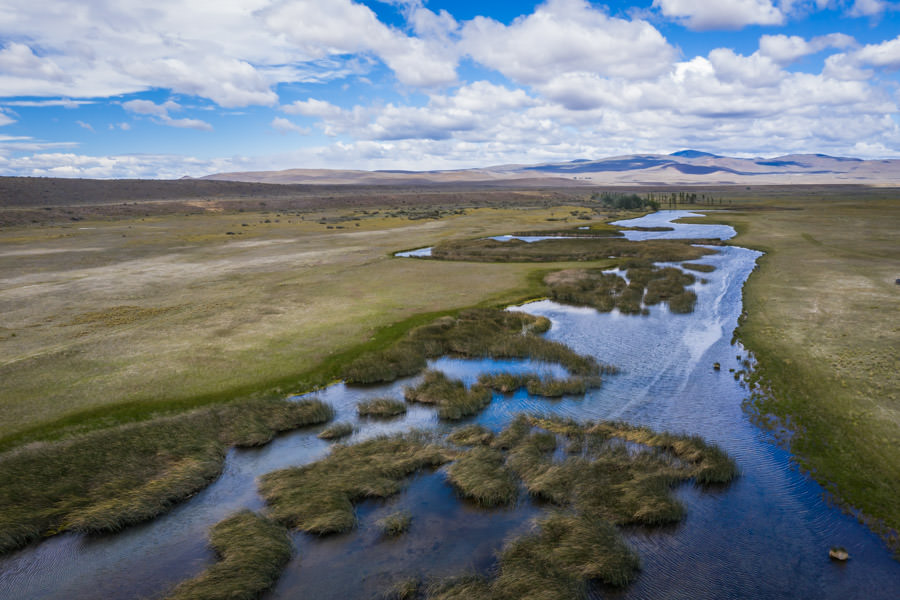 Arroyo Pescado spring creek Arroyo Pescado is located in the high grassland pampas east of the Andes. Its productive spring fed waters are infested with large trout