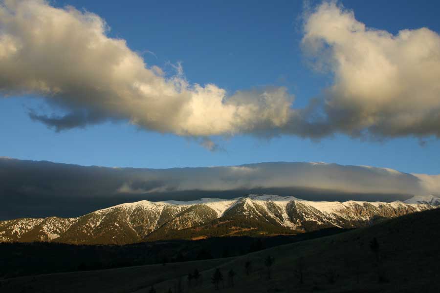 Montana Fly Fishing, Montana Angler