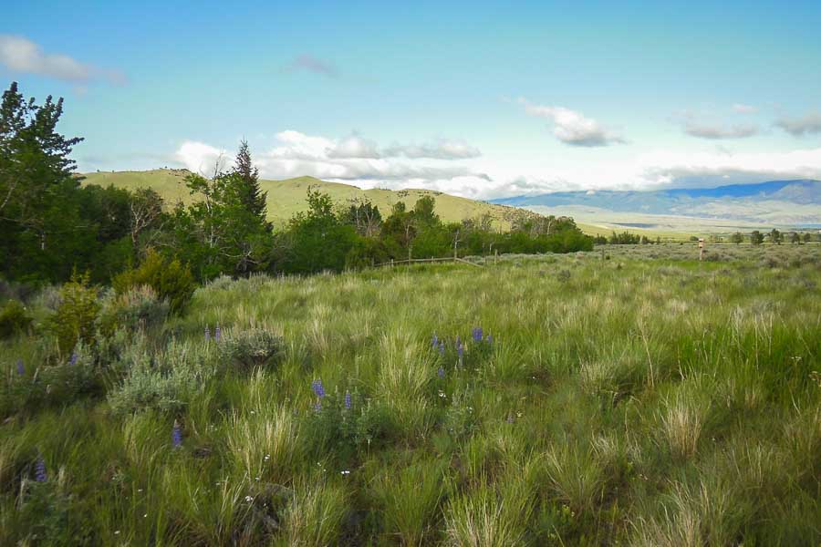 Montana Fly Fishing Lodges, Montana Angler