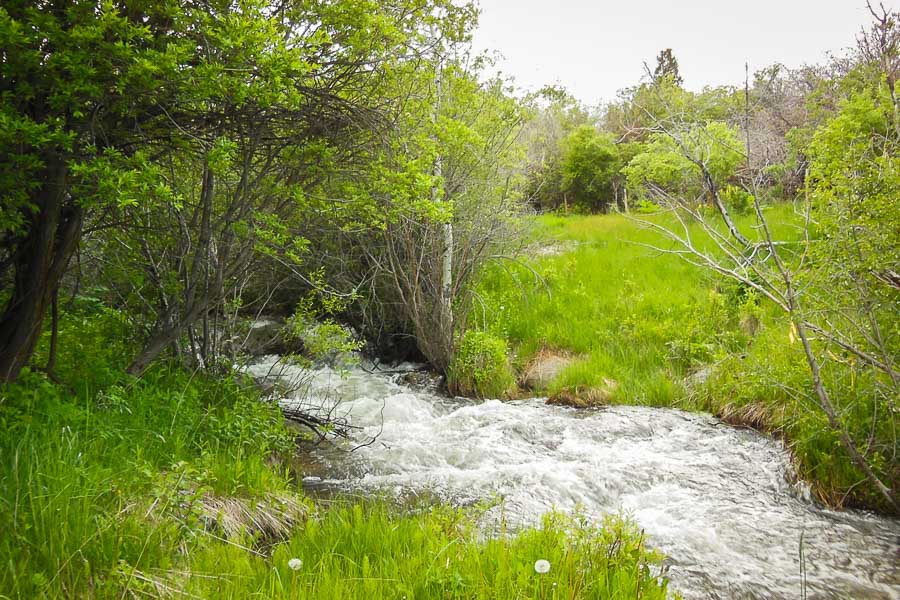 Montana Fishing Lodges, Montana Fishing Rentals