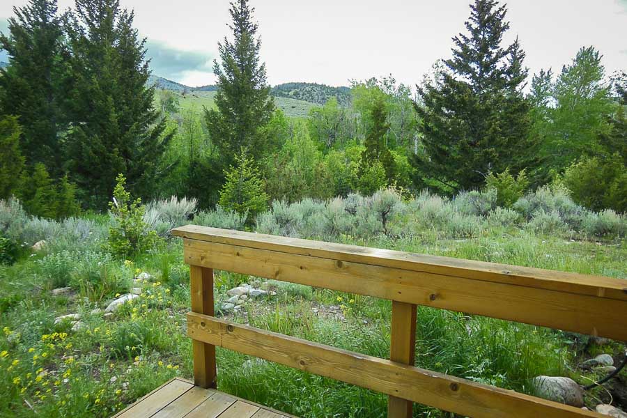 Madison River Fly Fishing, Montana Angler