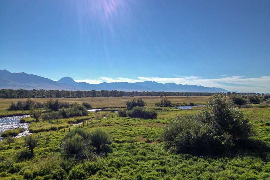 Montana Angler, Madison River Fishing Guides