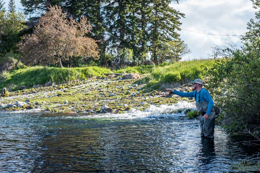 montana guided creek fishing
