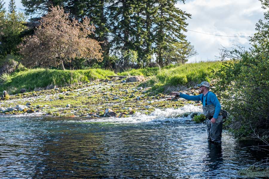 Armstrong Spring Creek Fly Fishing