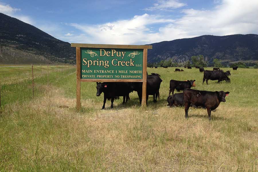 DePuy Spring Creek
