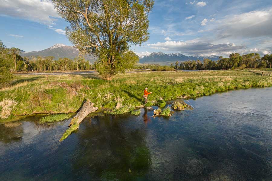 DePuy Spring Creek Fly Fishing Montana Angler